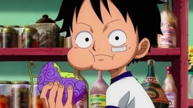 Luffy Devil Fruit Power