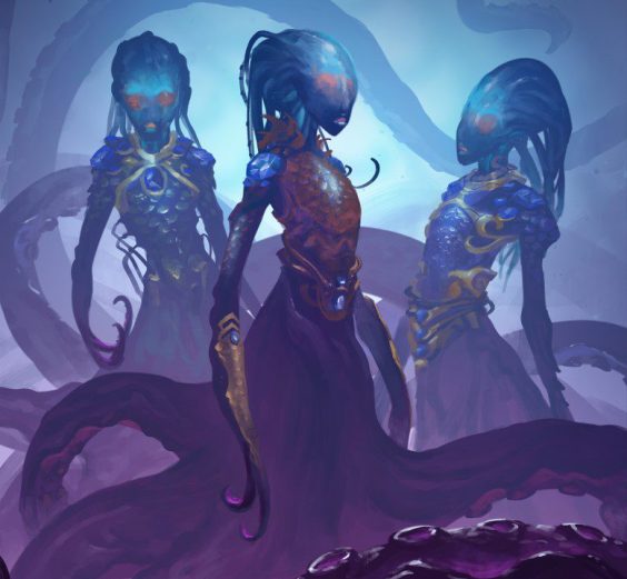 Usozoa Three Ocean Queens
